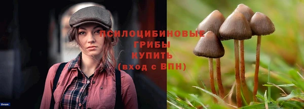 не бодяженный Абдулино