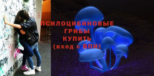 a pvp Алзамай