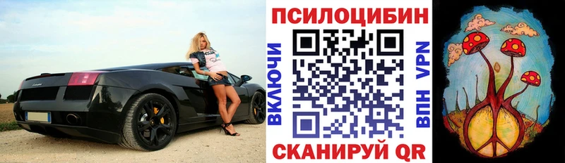 Галлюциногенные грибы Psilocybe  даркнет сайт  Шлиссельбург 